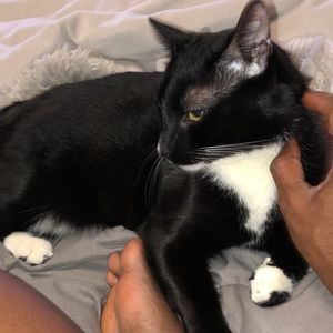 Meet your Posher, Atiyah